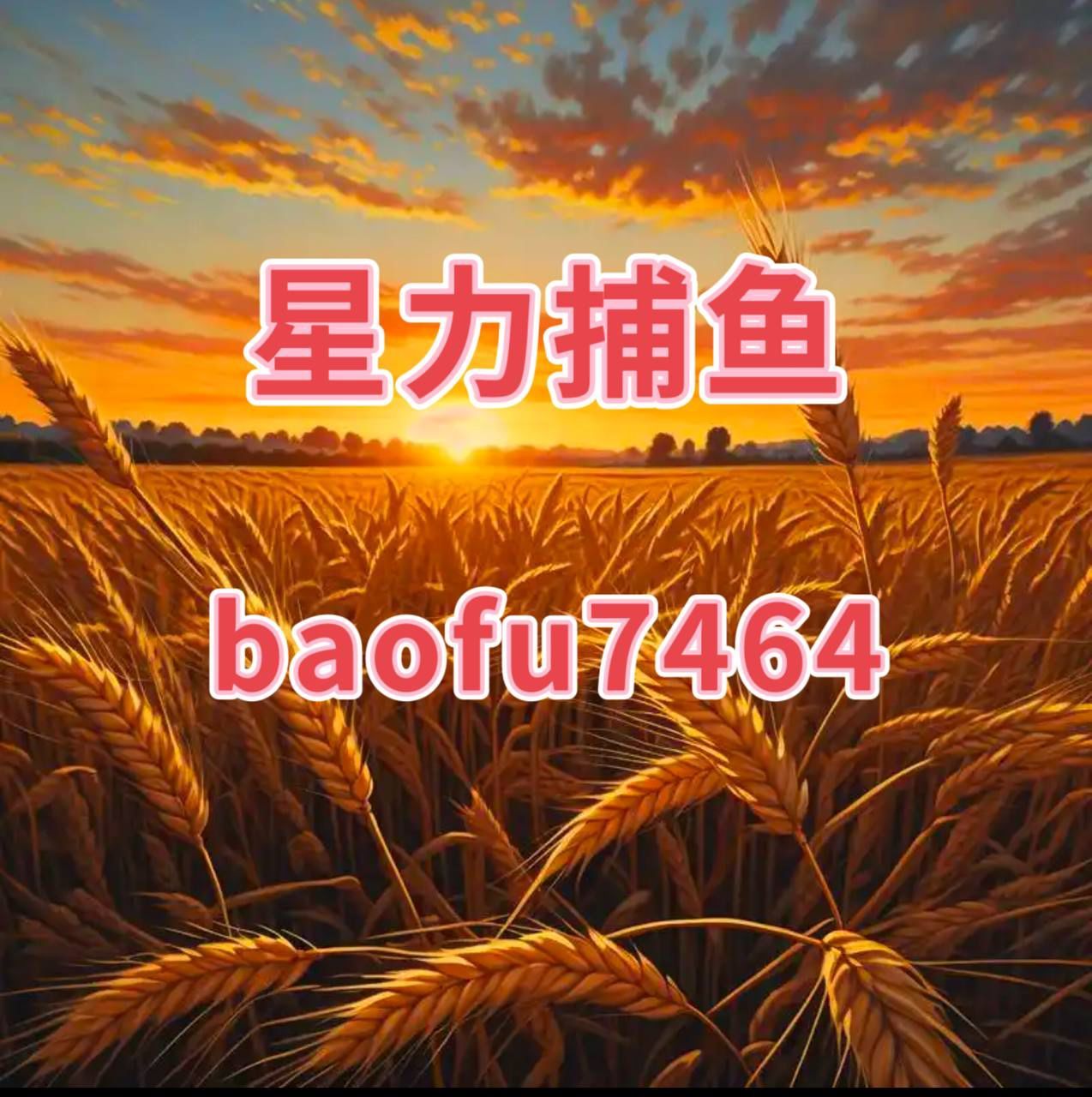 捕鱼星力官网8月16唯一指定地址.客服了指定.cc捕鱼星力，海洋生态与人类捕捞的新篇章-第2张图片
