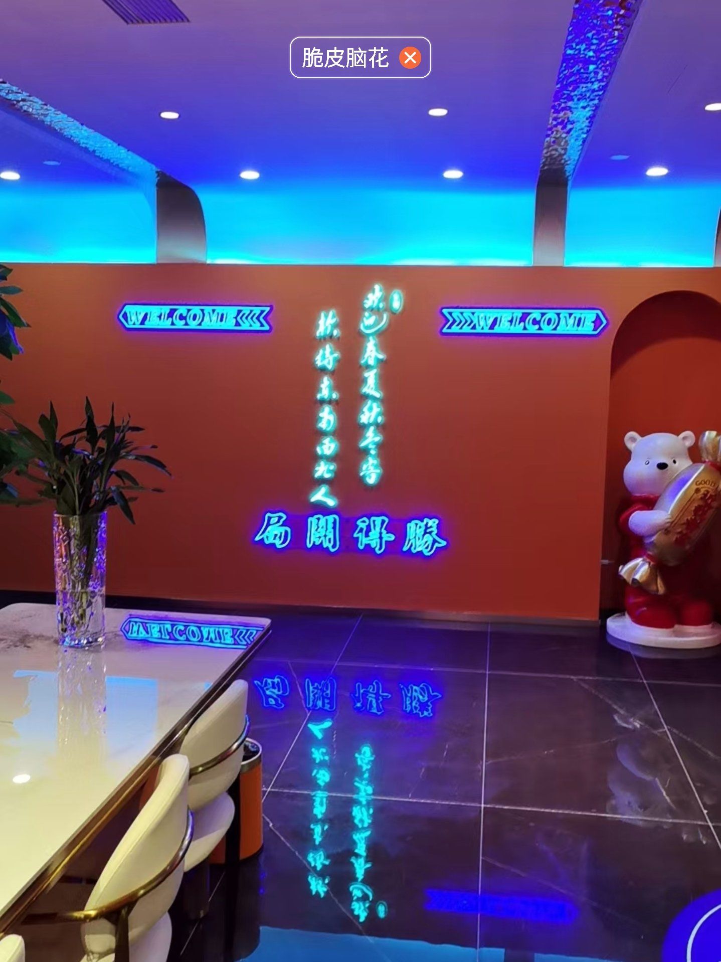 小Y娱乐网，娱乐新天地-第2张图片