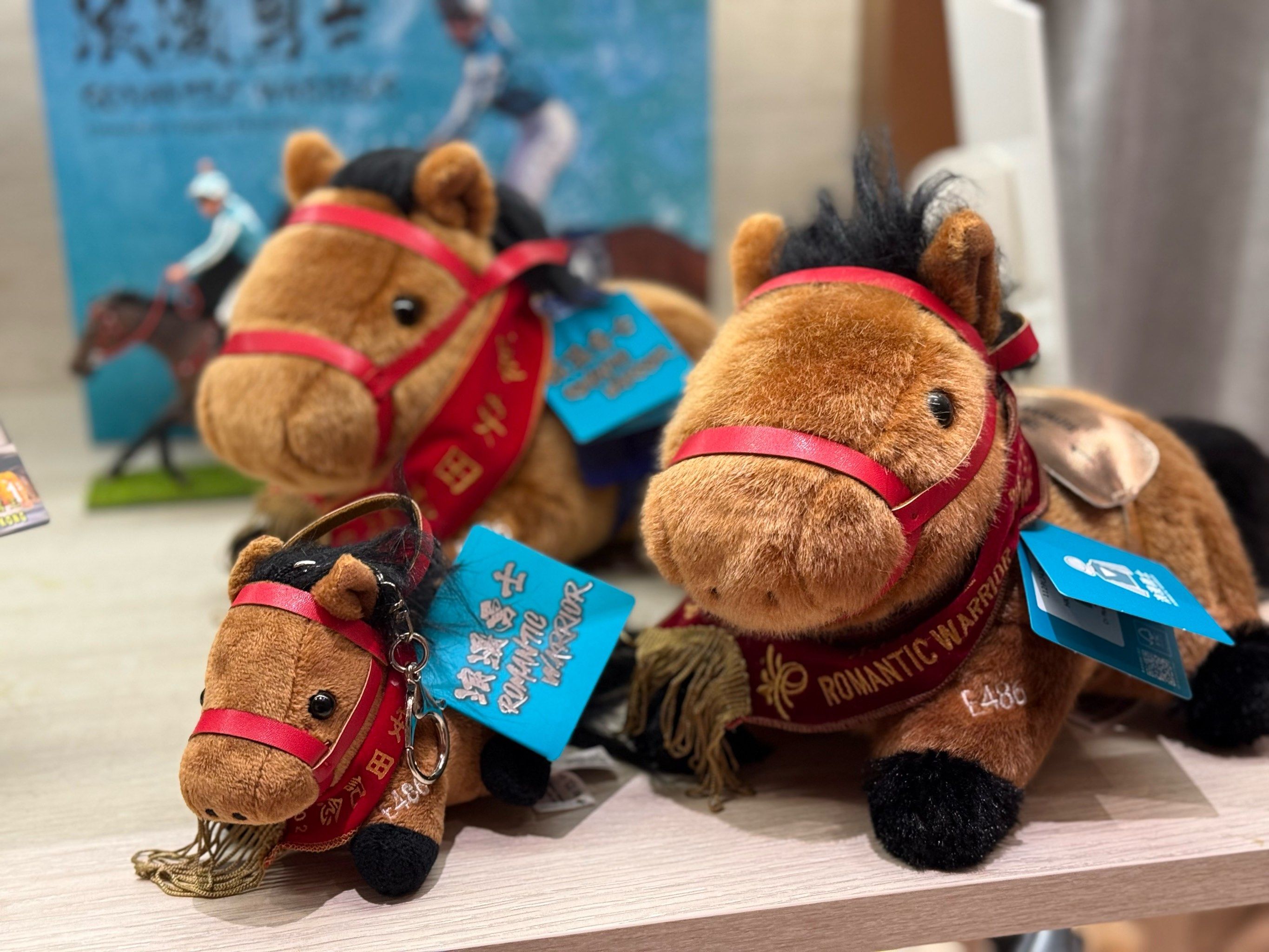 香港赛马会精选资料大全使用方法香港赛马会精选资料大全