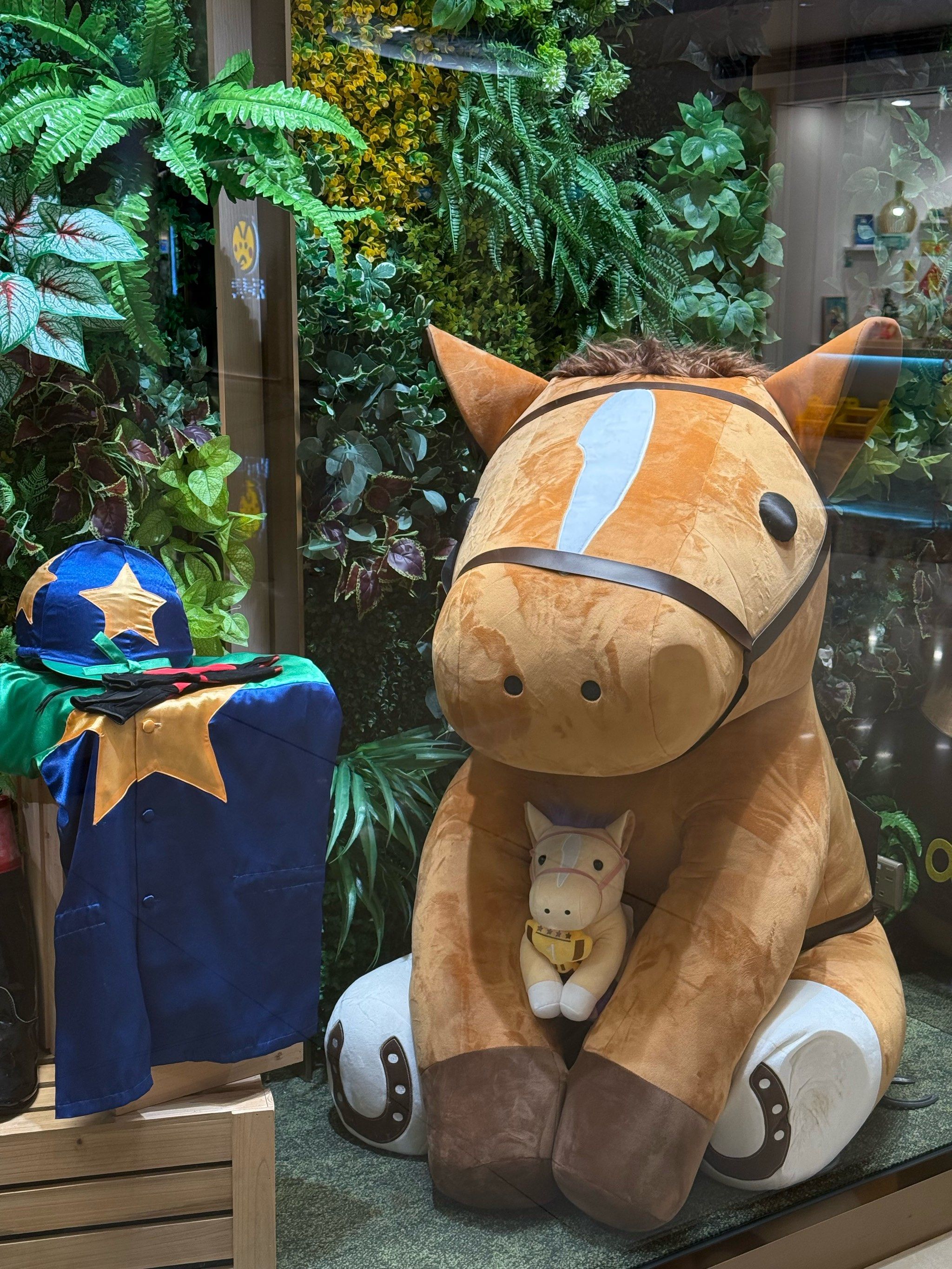 香港赛马会精选资料大全使用方法香港赛马会精选资料大全-第3张图片