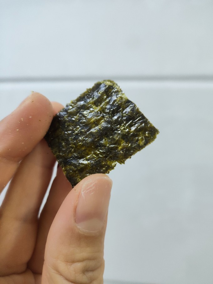 盈乐乐紫菜盈乐乐，快乐与智慧的融合