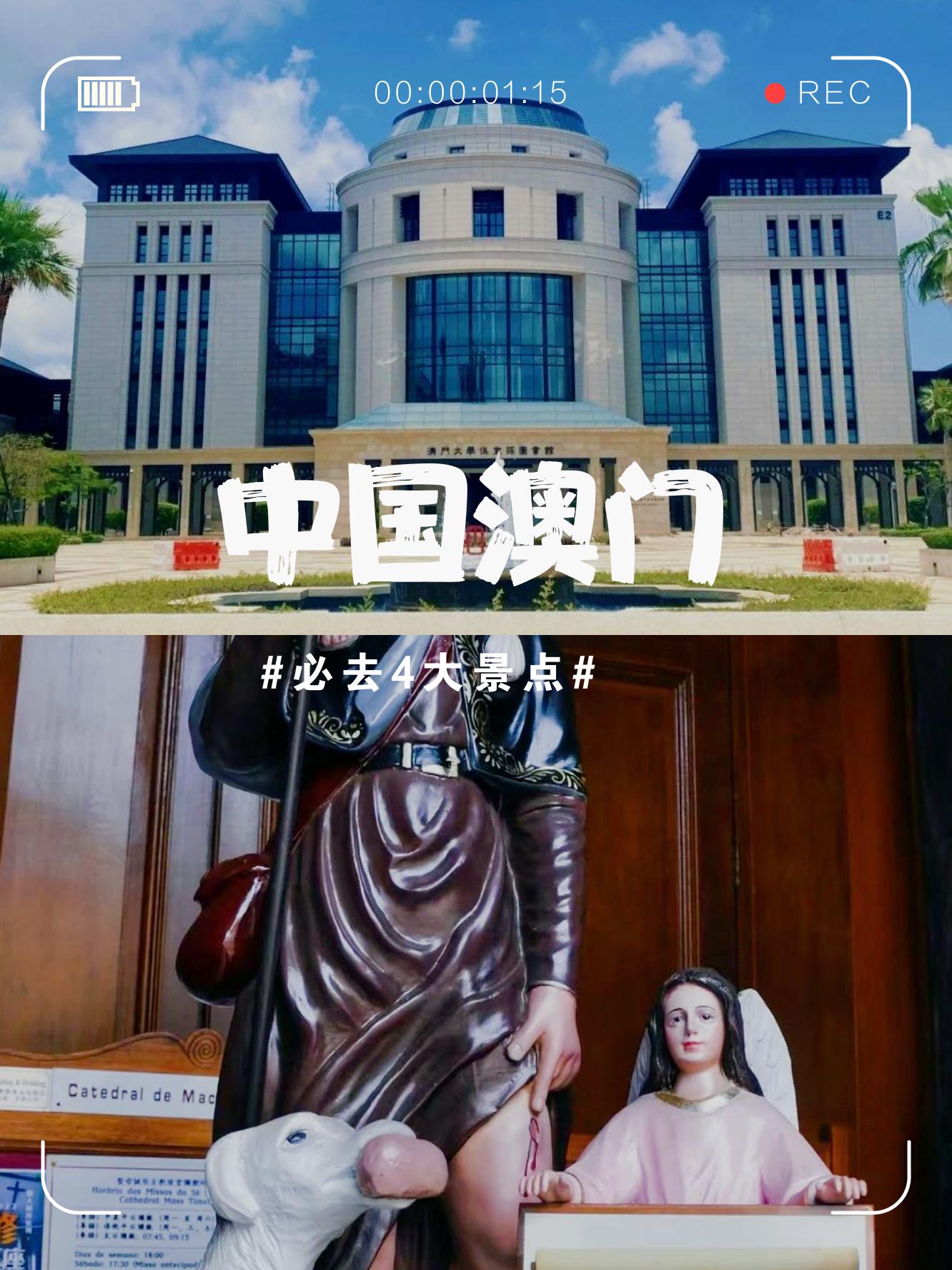 澳门好博VIP体验，探索无限可能-第3张图片