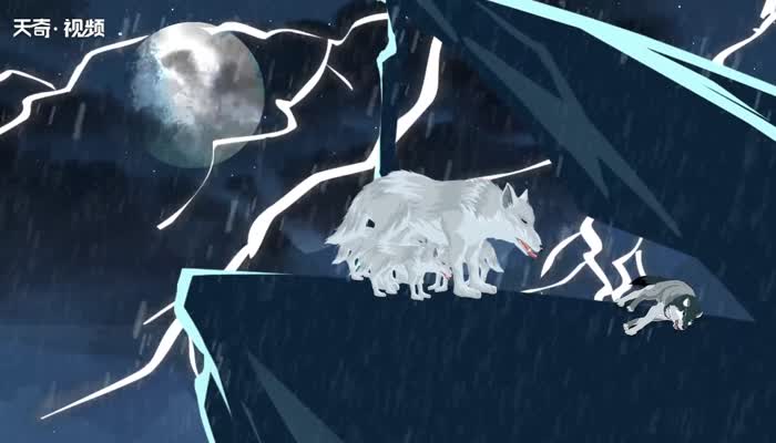 狼王梦在线阅读免费狼王梦在线阅读-第2张图片