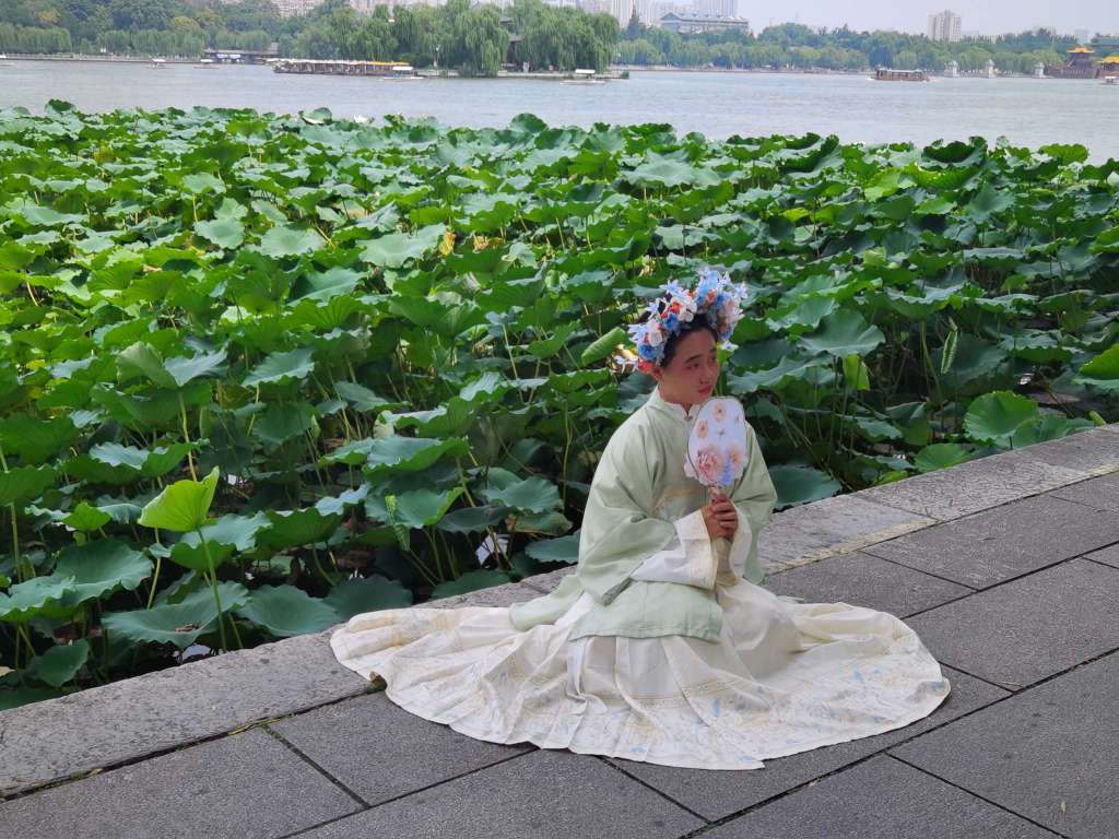 宛如出水芙蓉什么意思出水芙蓉，美的象征与寓意-第3张图片