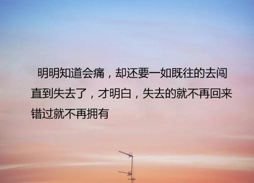 不想让你看见不想让你看见的文章