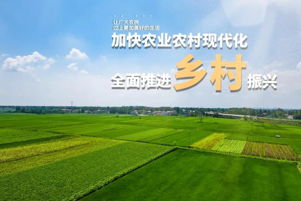 河南日报农村版电子版今天河南日报农村版电子版，数字化时代的乡村新篇章-第1张图片