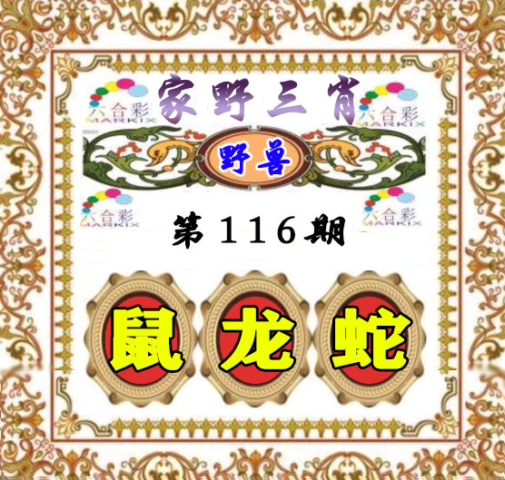 香港今期开奖结果查询，161期回顾