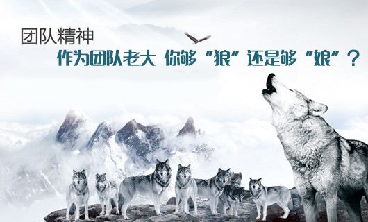 广西狼精英论坛，探索狼性精神的卓越平台