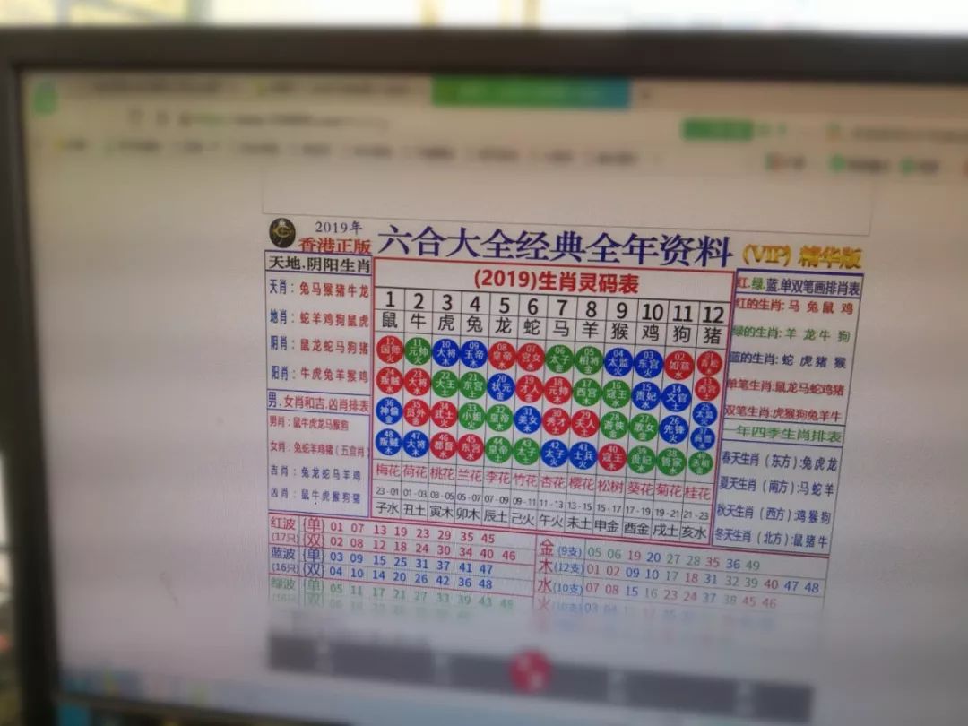 蓝月亮料全年资料大全-第3张图片