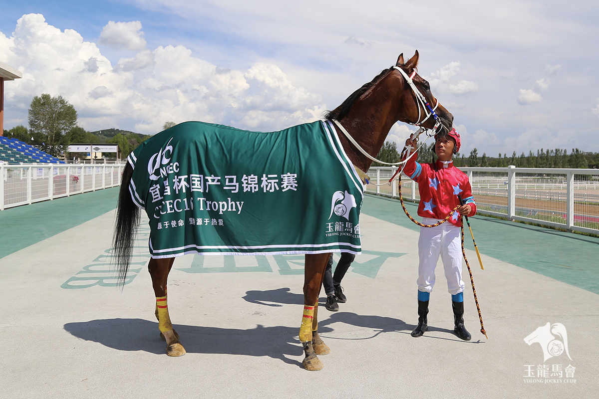 2019年马会正版幽默2019马会全年免费资料大全