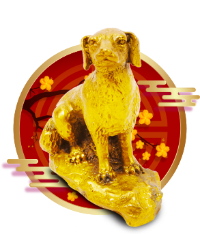2019六给彩今晚开奖结果揭晓