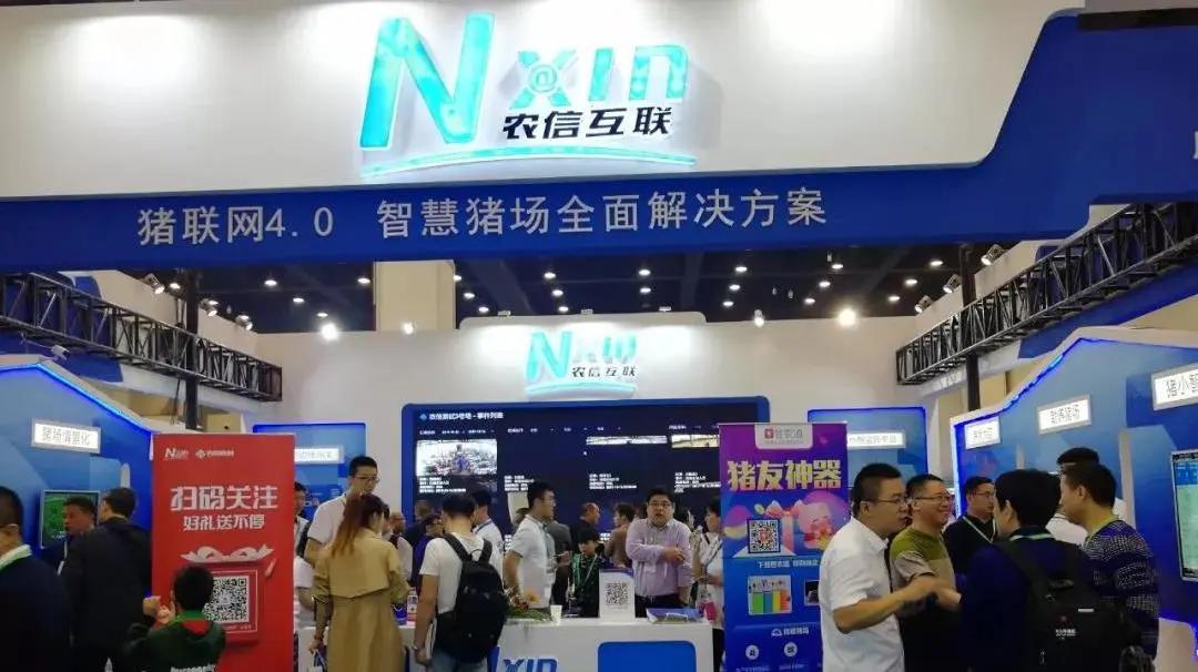 56568com，数字时代的新机遇
