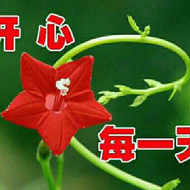 喜乐乐喜乐乐之人生-第2张图片