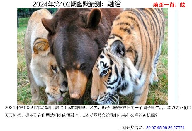 2024澳门开奖结果揭晓，预测与展望