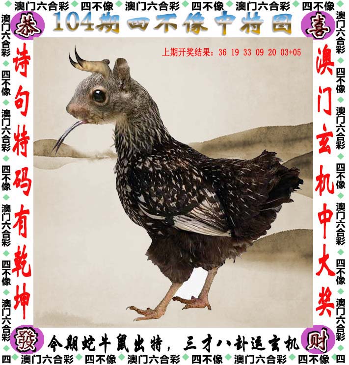 管家婆2023年正版资料概述-第2张图片