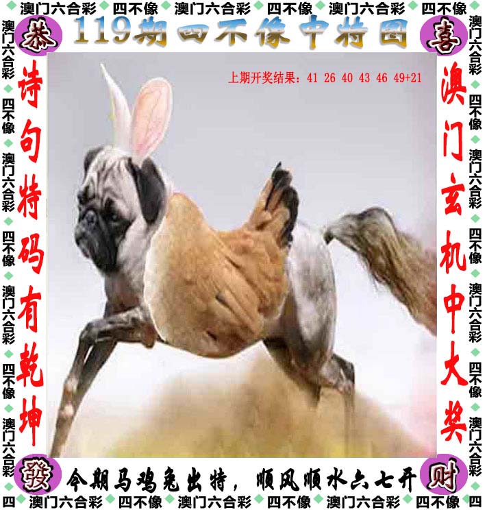 澳门四不像论坛www961212澳门四不像论坛，探索多元文化与交流平台-第2张图片