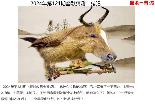 2024澳门开奖结果揭晓，预测与展望-第2张图片