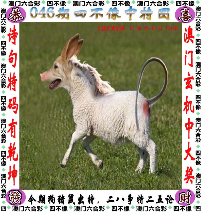 香港免费六会彩资料大全香港免费六会彩资料大全
