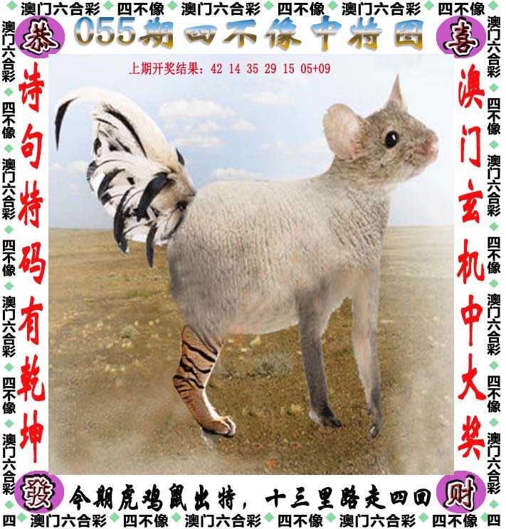 2023澳门六开彩天天开奖，彩市新篇章