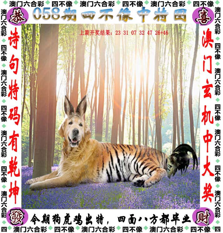 特马资料最准2024开奖前一天0期特马资料最准，精准预测市场的利器