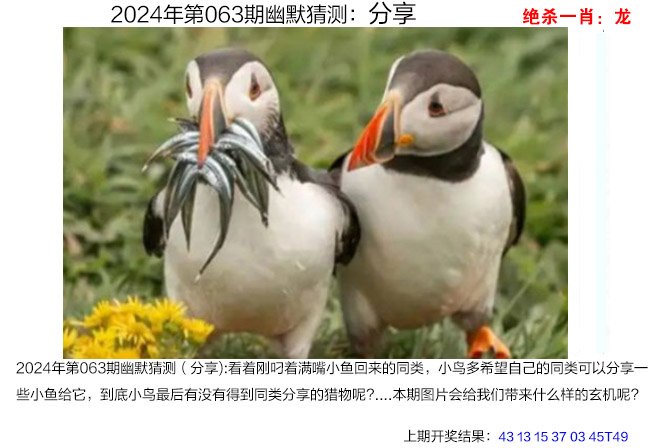 2021年澳门码开奖结果记录-第3张图片