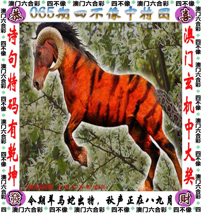 2024澳门天天开好彩大全，揭秘凤凰天机