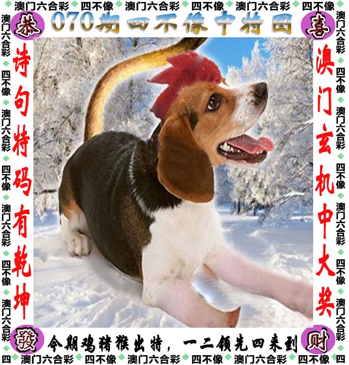天天好彩玄机图