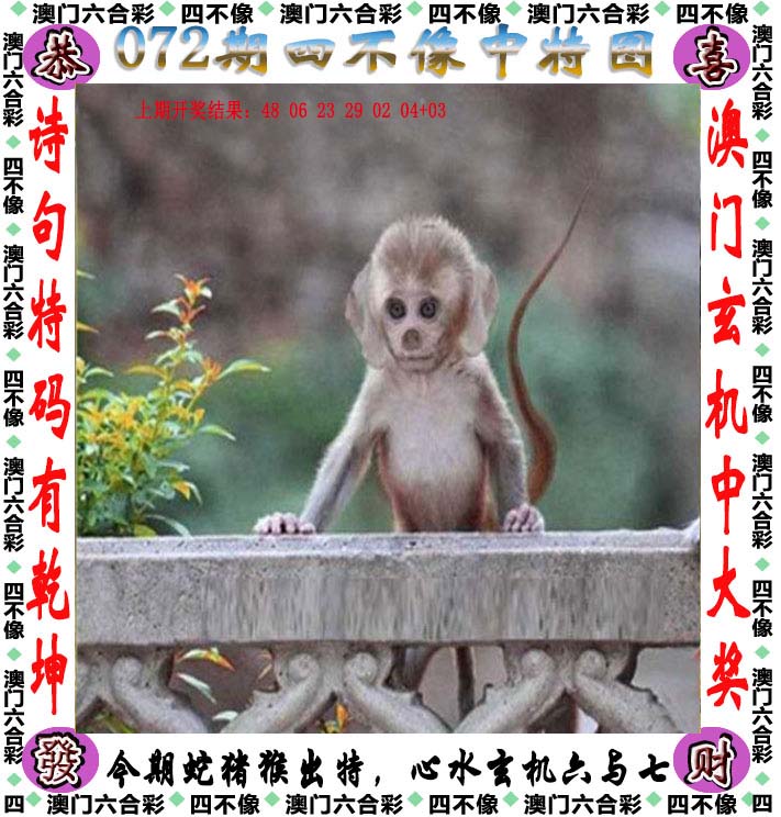 2024年香港6合资料大全