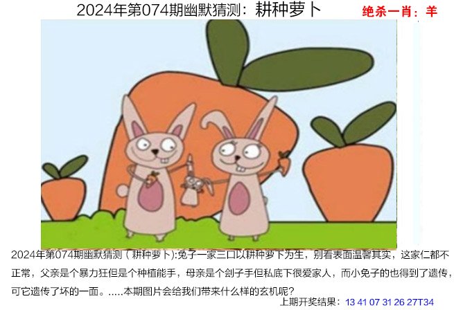 2024澳家婆一肖一特287期澳家婆2024，肖特特新篇章