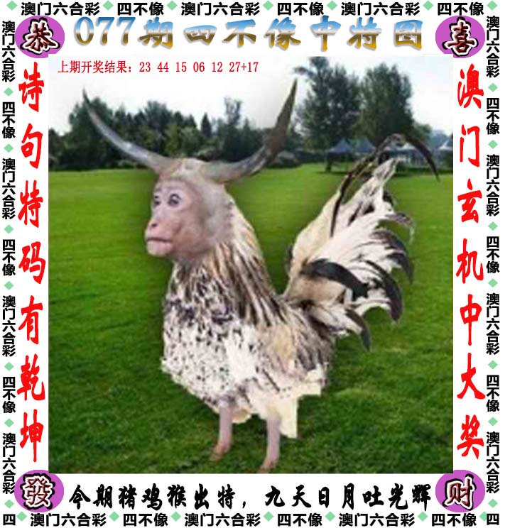 246天天好彩精选资料