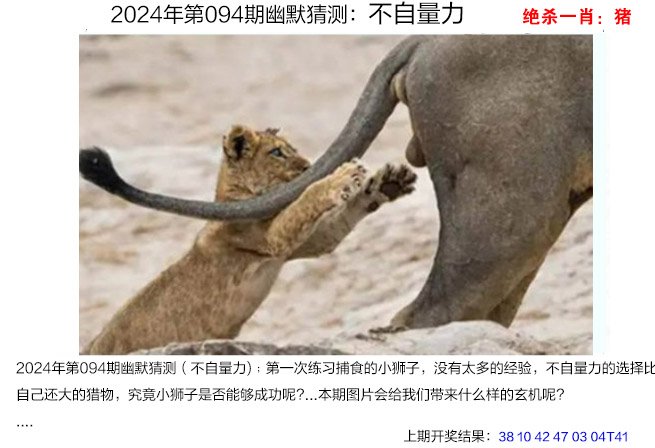 管家婆期期四肖四码中特管家管家婆期期四肖四码中特管家-第2张图片