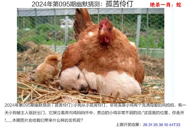 管家婆彩图四不像肖图
