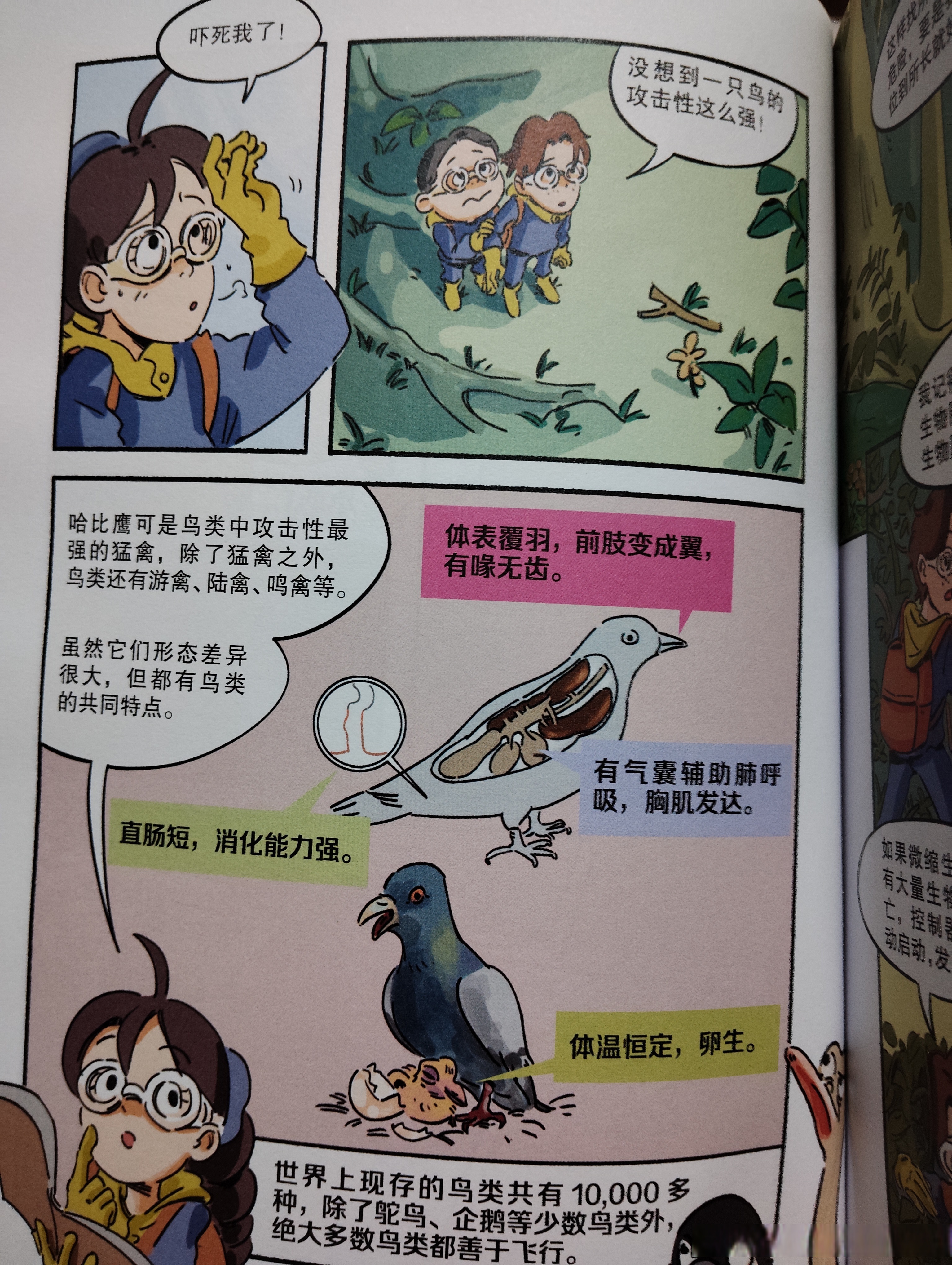 顶叶兽顶叶兽，神秘生物的探索之旅