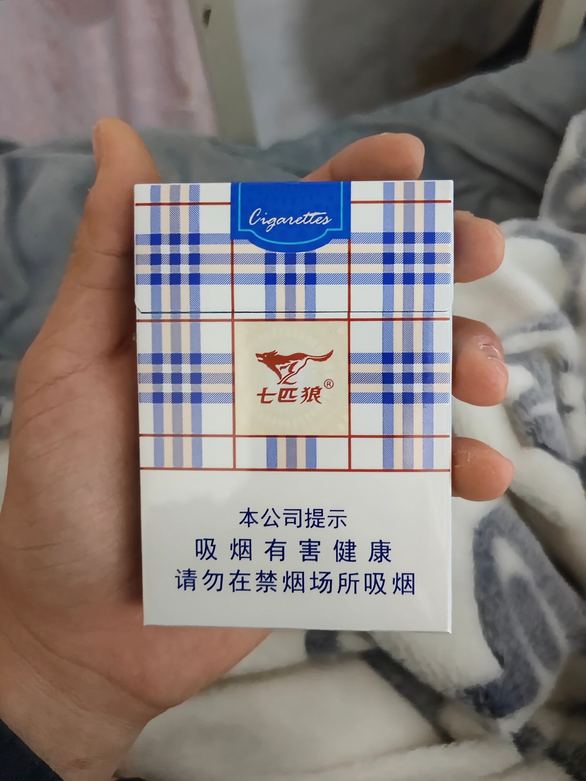 三匹狼 论坛三匹狼论坛，探索网络交流的新天地-第2张图片