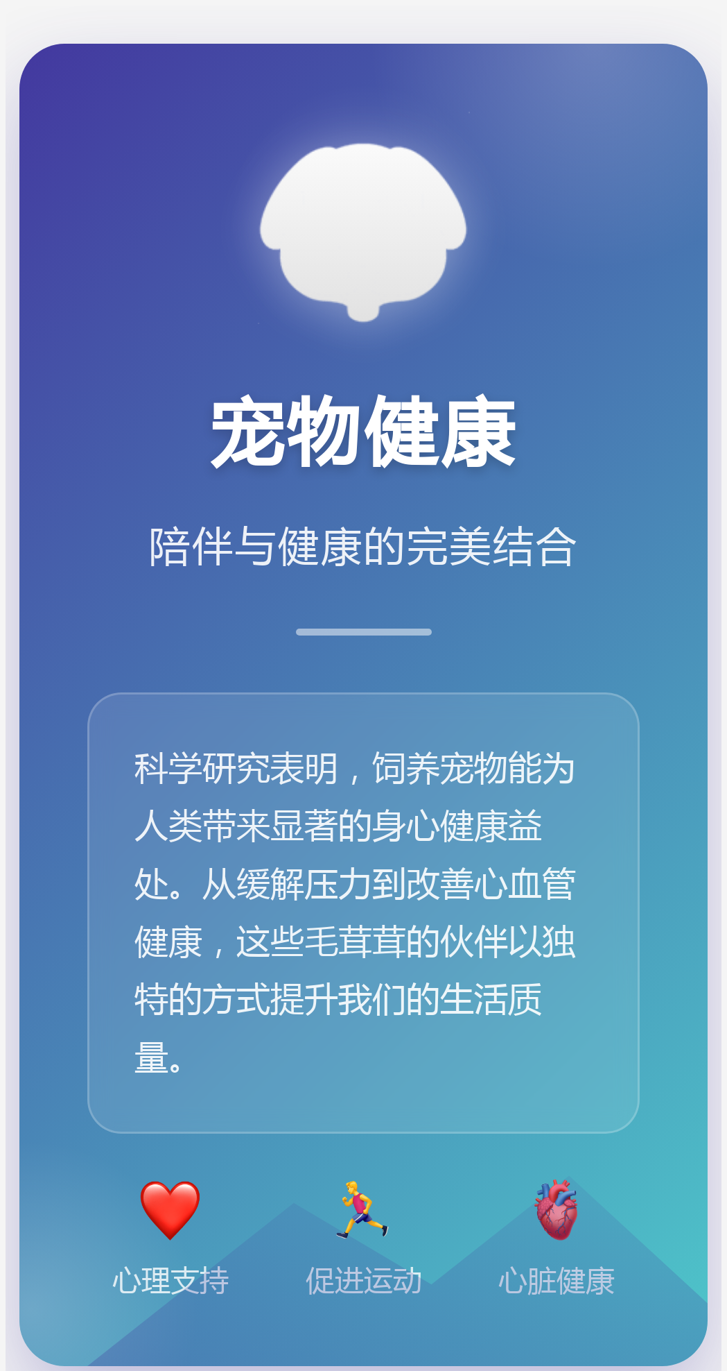 跑狗网，引领宠物健康与训练的新潮流