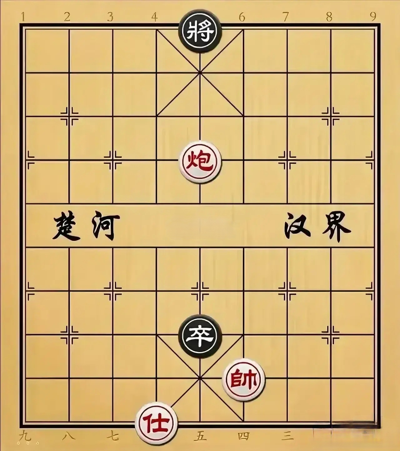中国象棋大师王中国象棋大师王，棋艺精湛，成就非凡