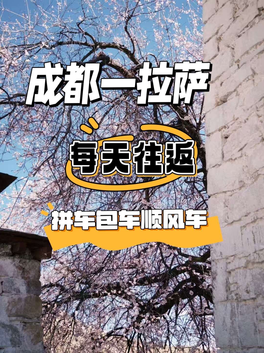成都包车到西藏价格成都包车前往西藏之旅