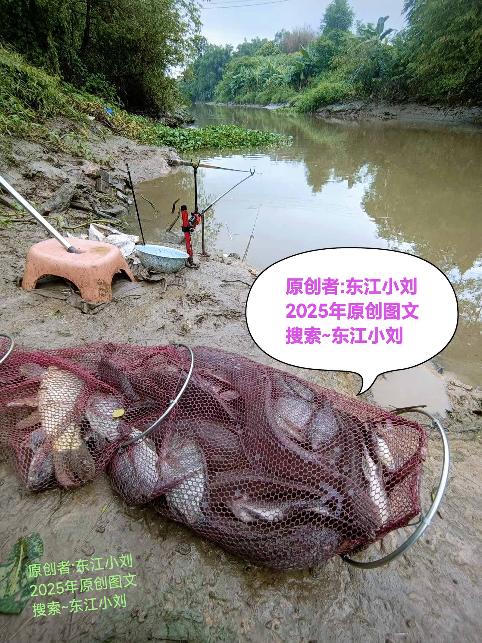 捕鱼89168澳门官方，体验澳门特色捕鱼文化