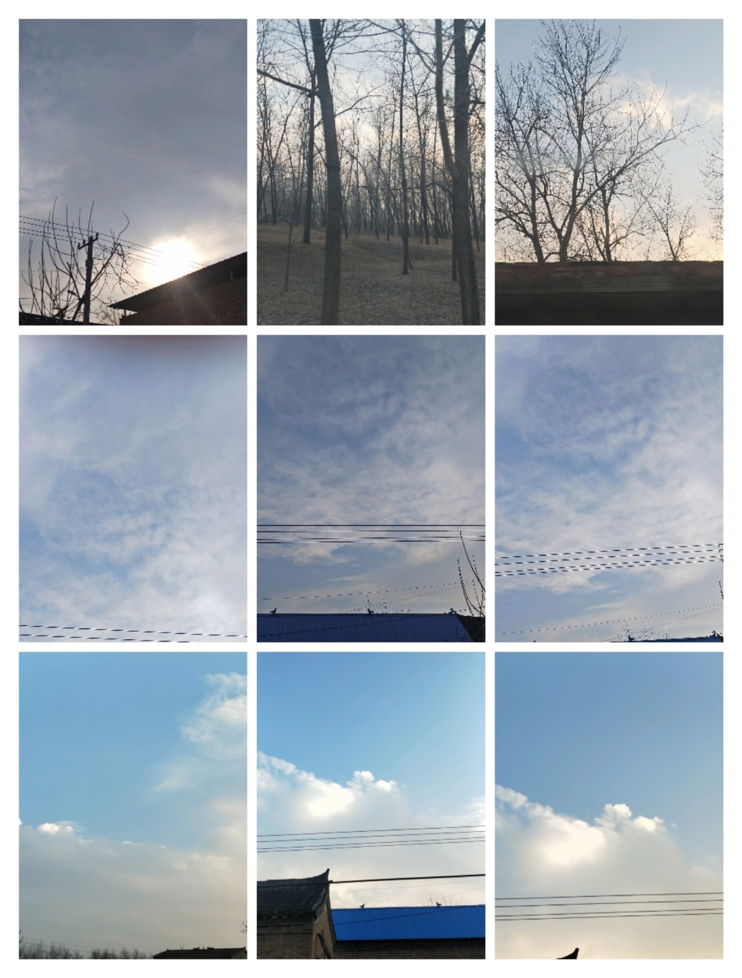 天空下载网，探索无限网络资源