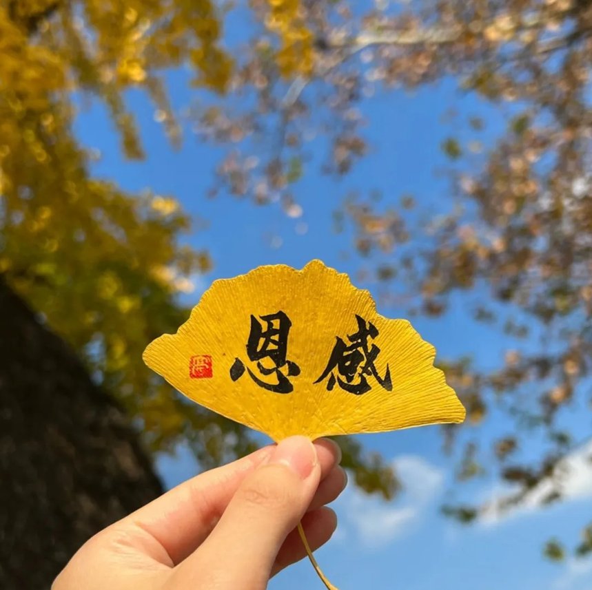 好日子高手论坛，探索生活中的美好时刻-第2张图片