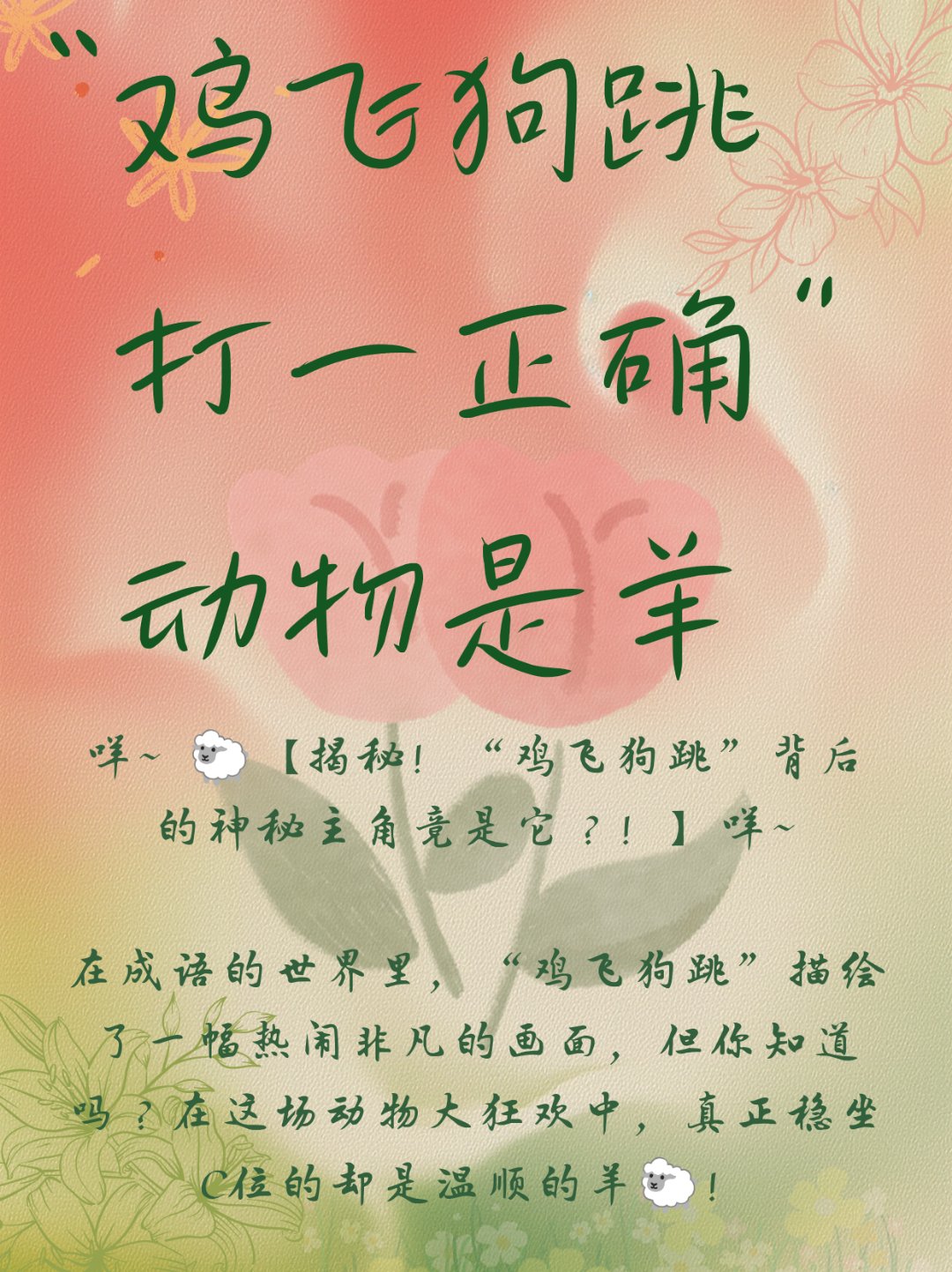 豆豆网幸运28，数字背后的神秘力量-第2张图片