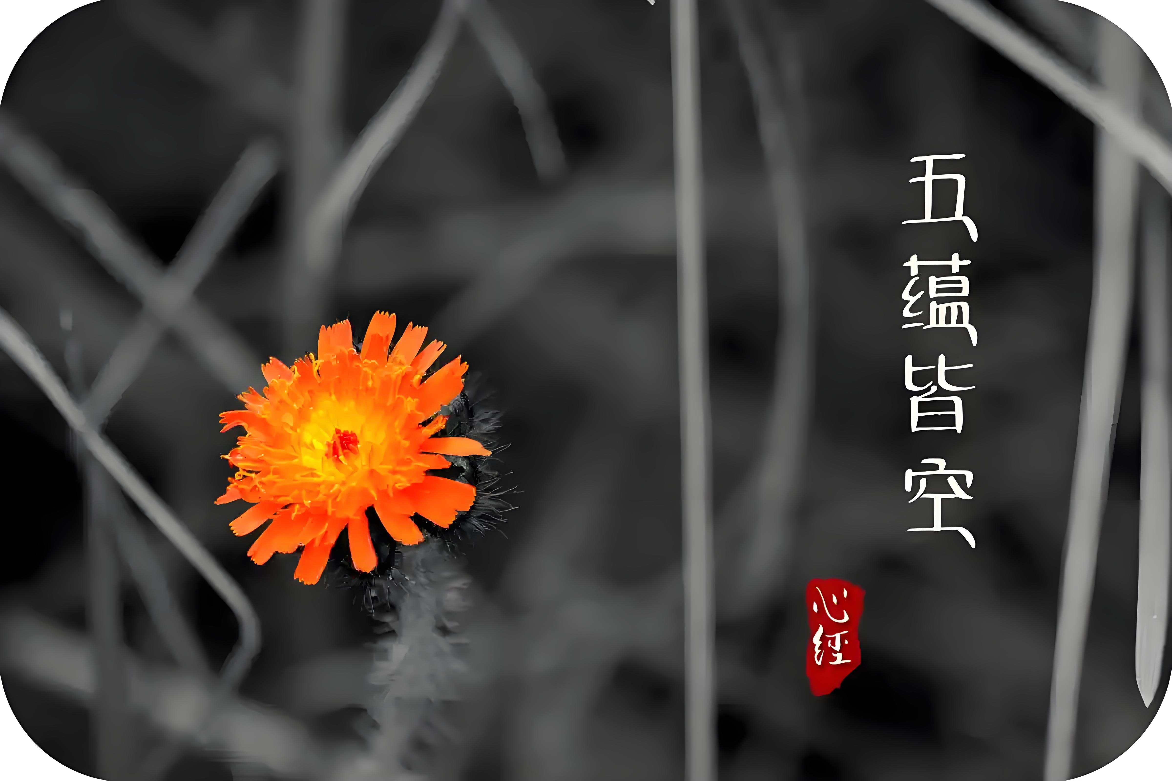 东方心经a东方心经b东方心经A，探寻内心的智慧与力量