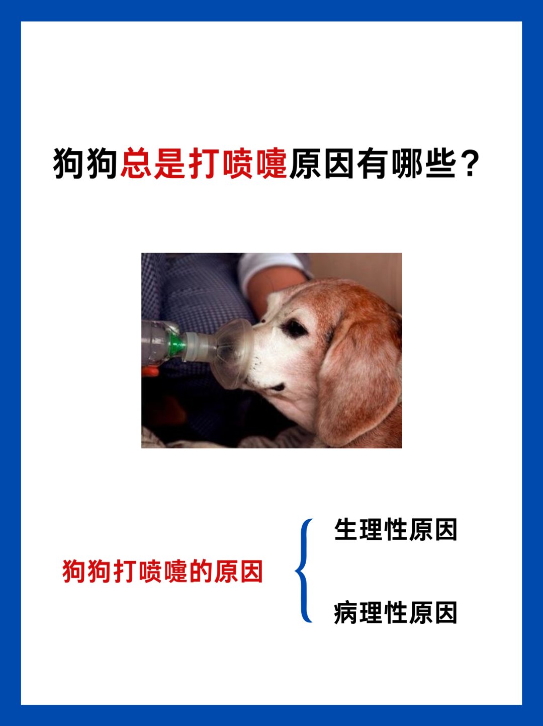 打喷嚏闭眼睛的原理是什么打喷嚏与闭眼睛的原理