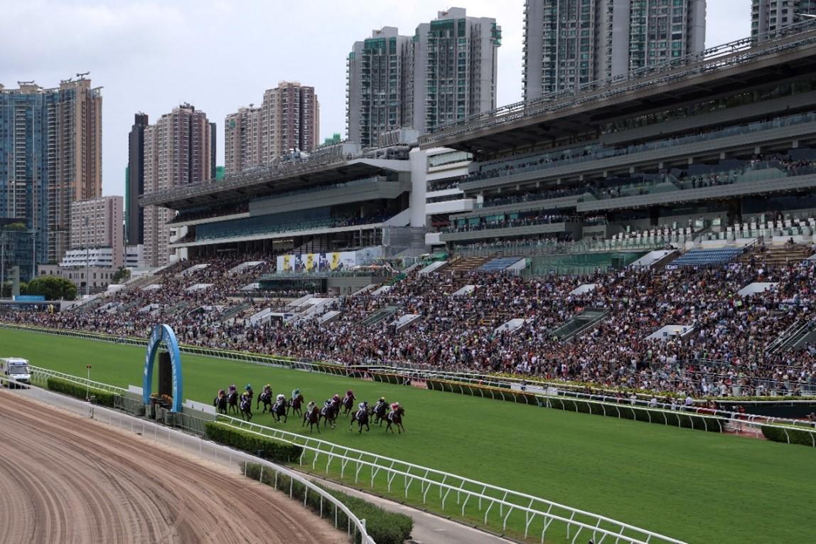 香港赛马会论坛香港赛马会论坛，探讨赛马运动与文化交流-第3张图片