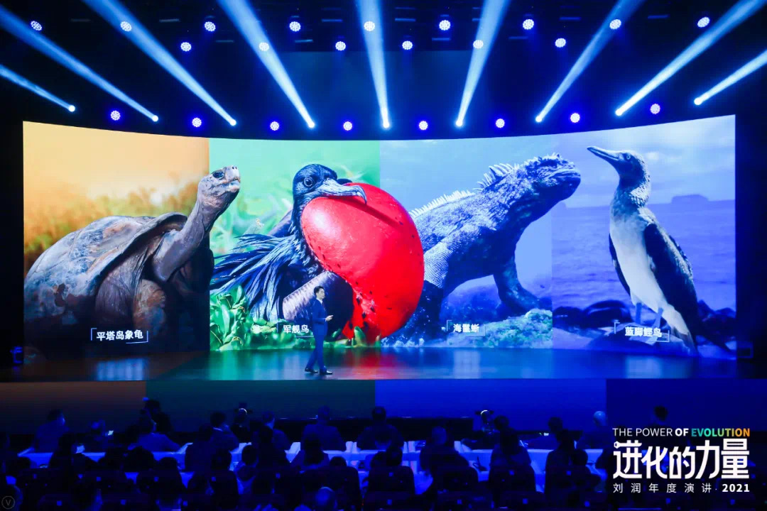 香港现场开码，数字时代的创新与机遇