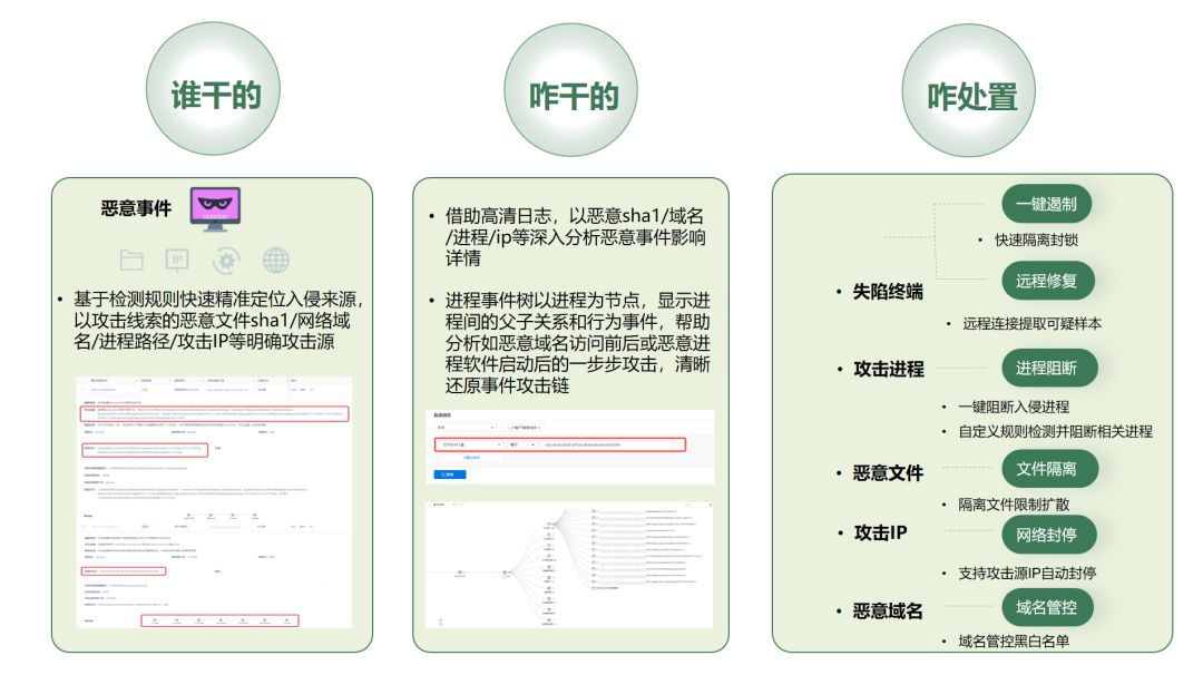 大赢家比分，策略与决胜的关键