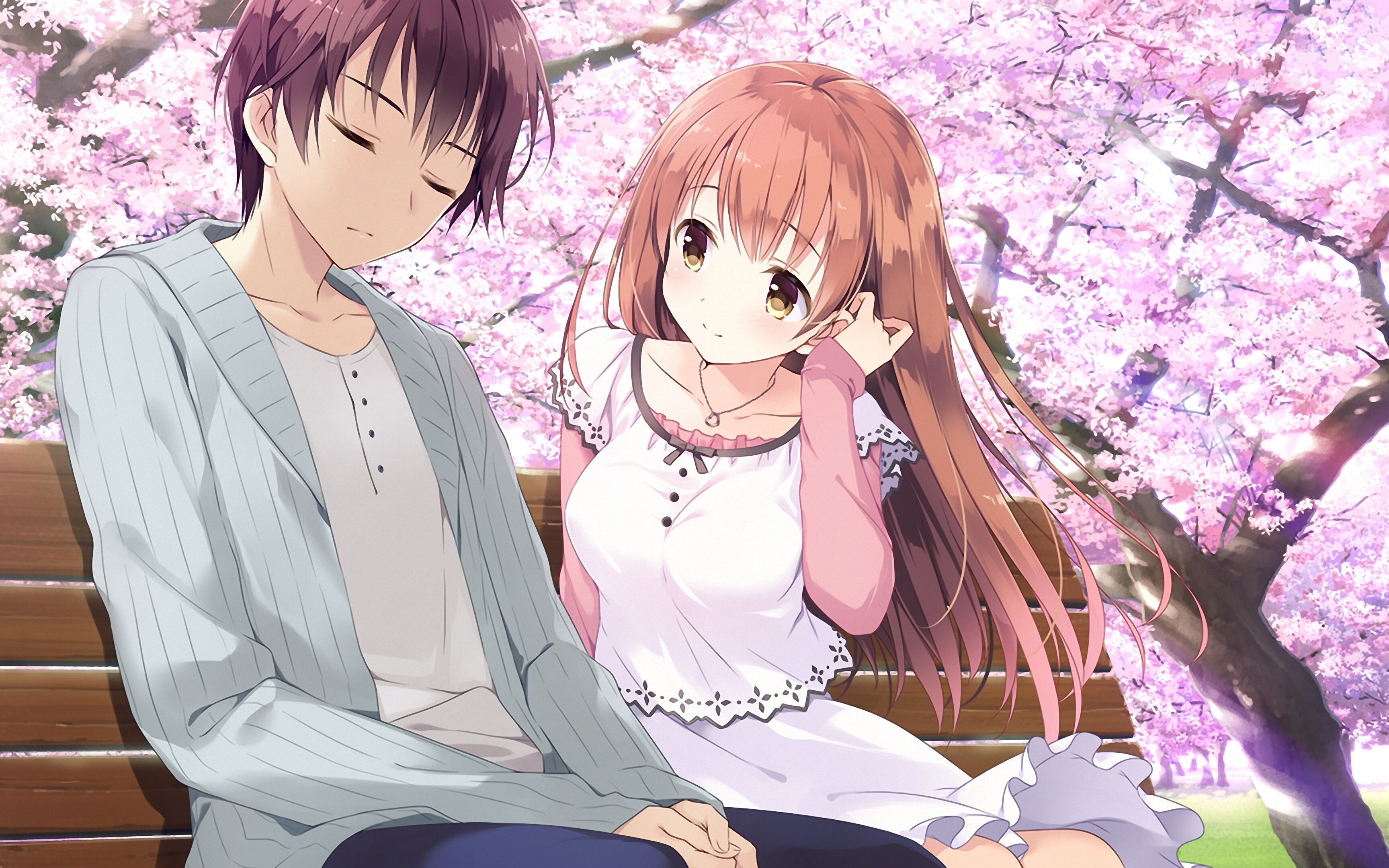 君と彼女と彼女の恋君と彼女の恋-第1张图片