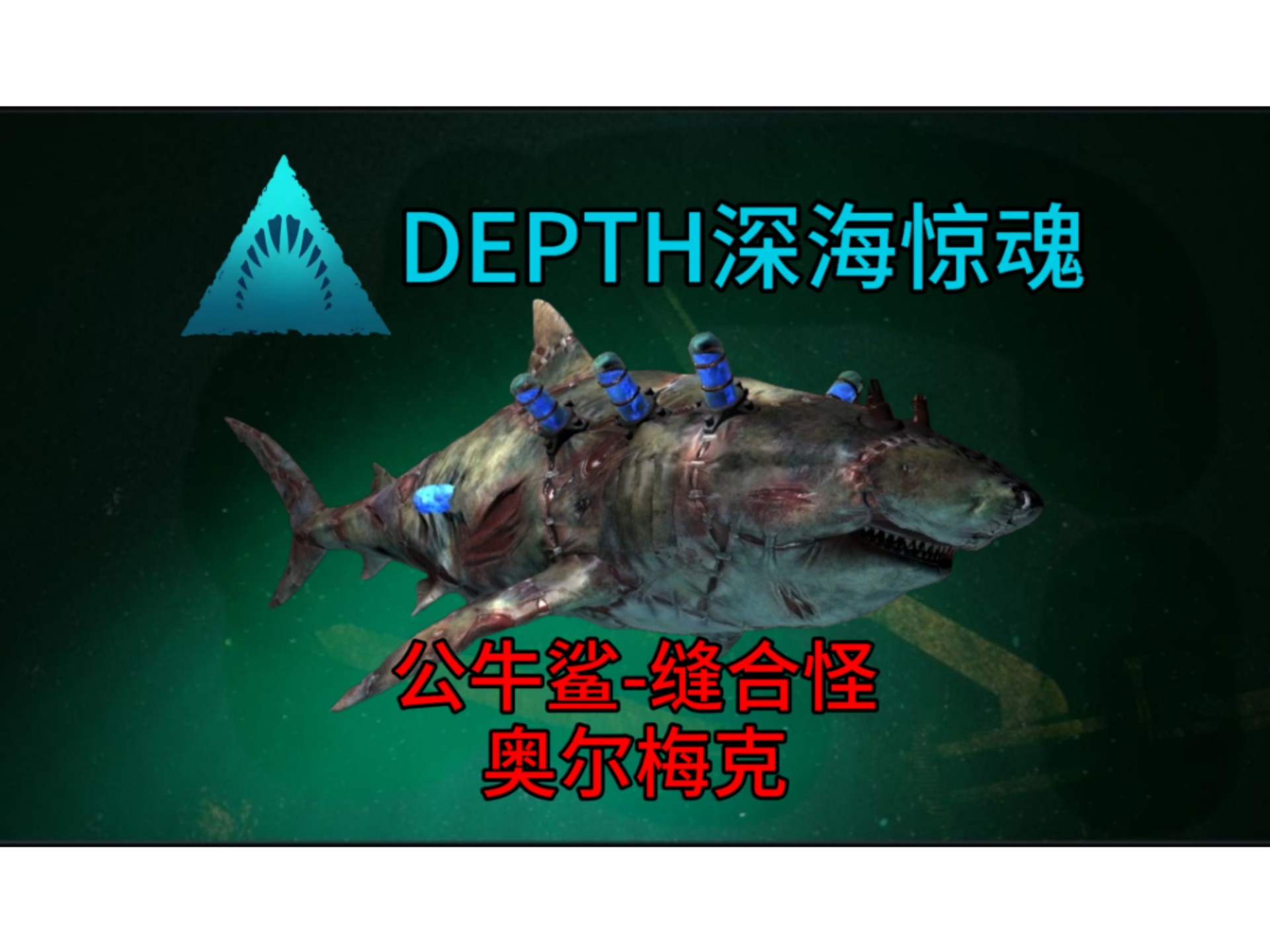 万能鲨鱼网络版万能鲨鱼网络版，引领数字化新时代-第1张图片