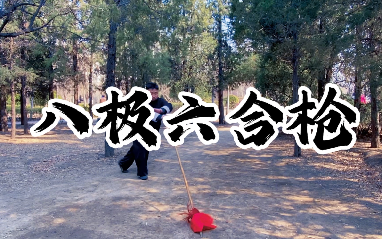 六合拳彩资料分析-第2张图片