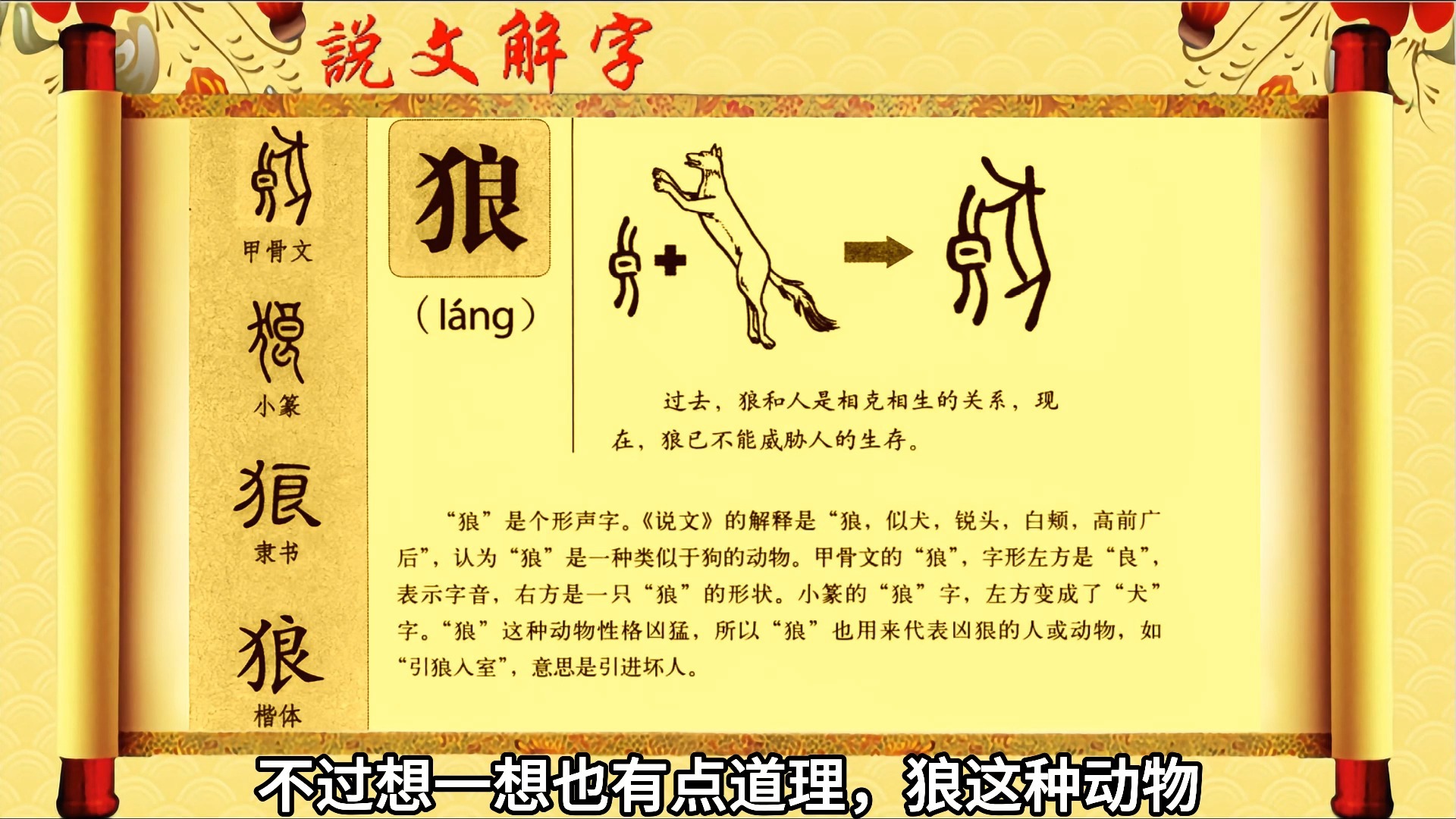 广西狼统计论坛广西狼论坛，探寻狼的神秘世界